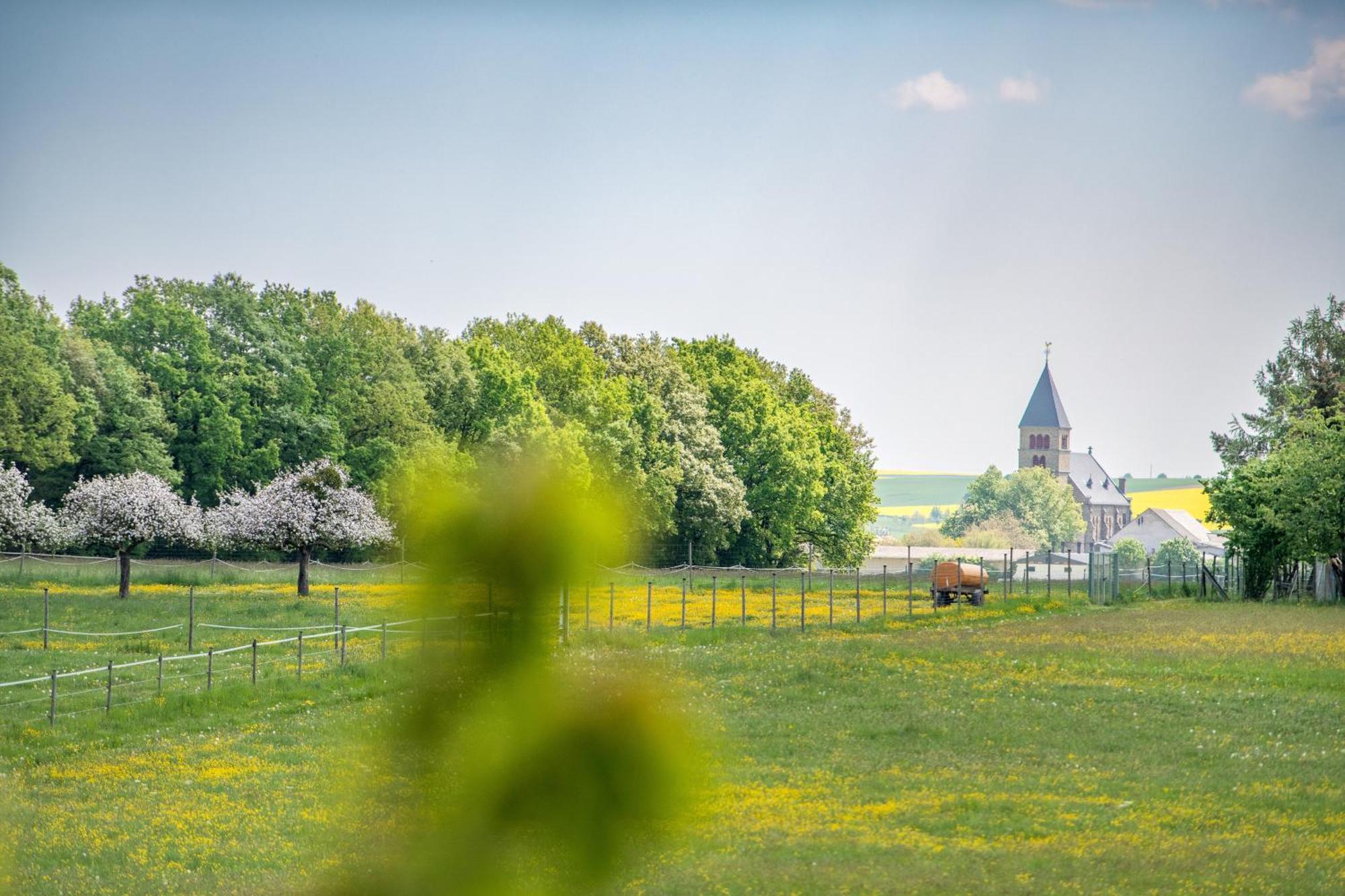 Waldesblick, Hotel-Restaurant Лар Экстерьер фото